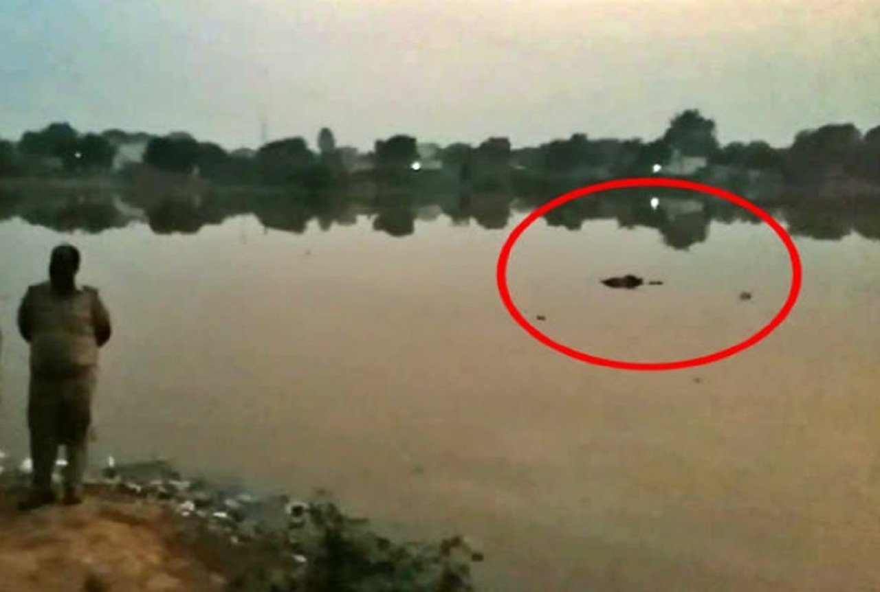 2 दिन से लापता युवक का शव बेरली कलां के जोहड़ से मिला