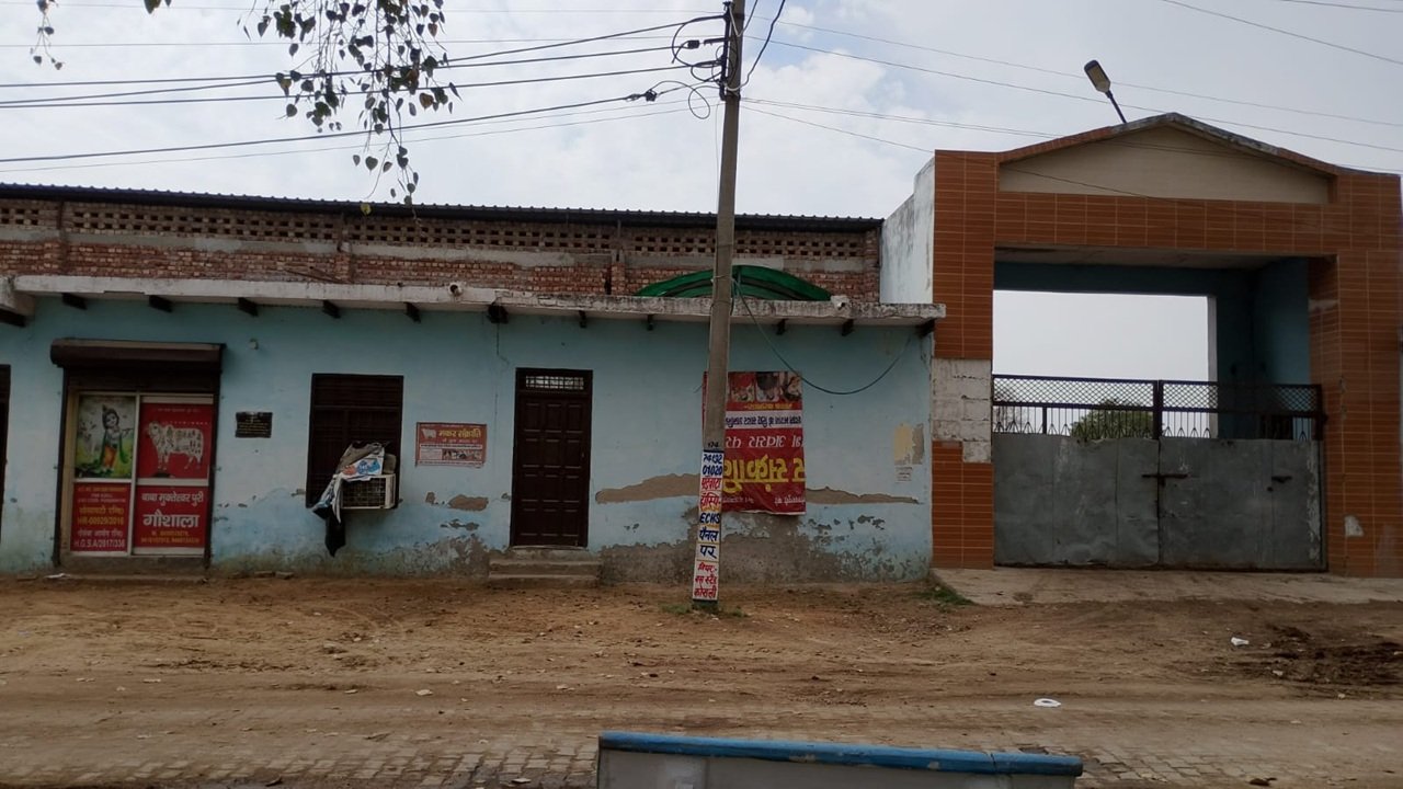 बाबा मुक्तेश्वरपुरी गौशाला के चुनाव 4 अक्टूबर को, जानिए पूरा शेडयूल