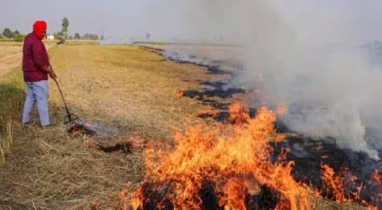 रेवाड़ी में पराली जलाने वालों पर होगी कार्रवाई,  सैटेलाइट से भी होगी ट्रैकिंग