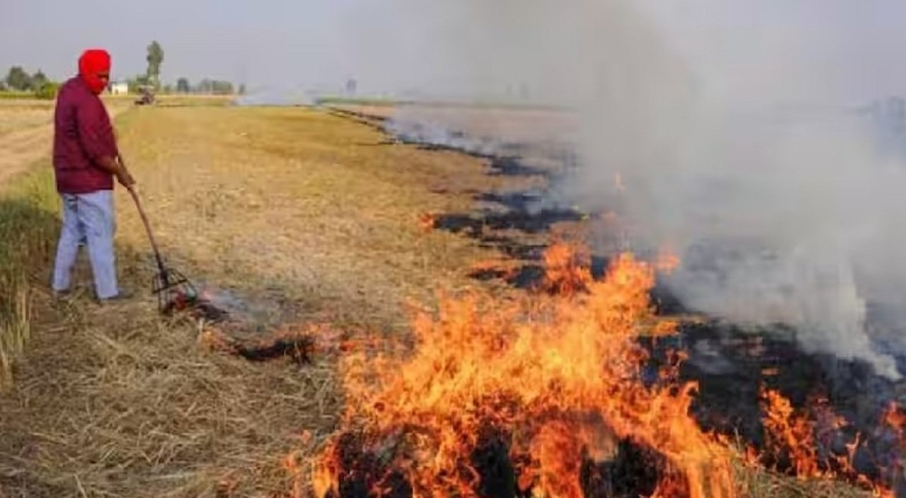 पराली जलाने वालों पर होगी कार्रवाई