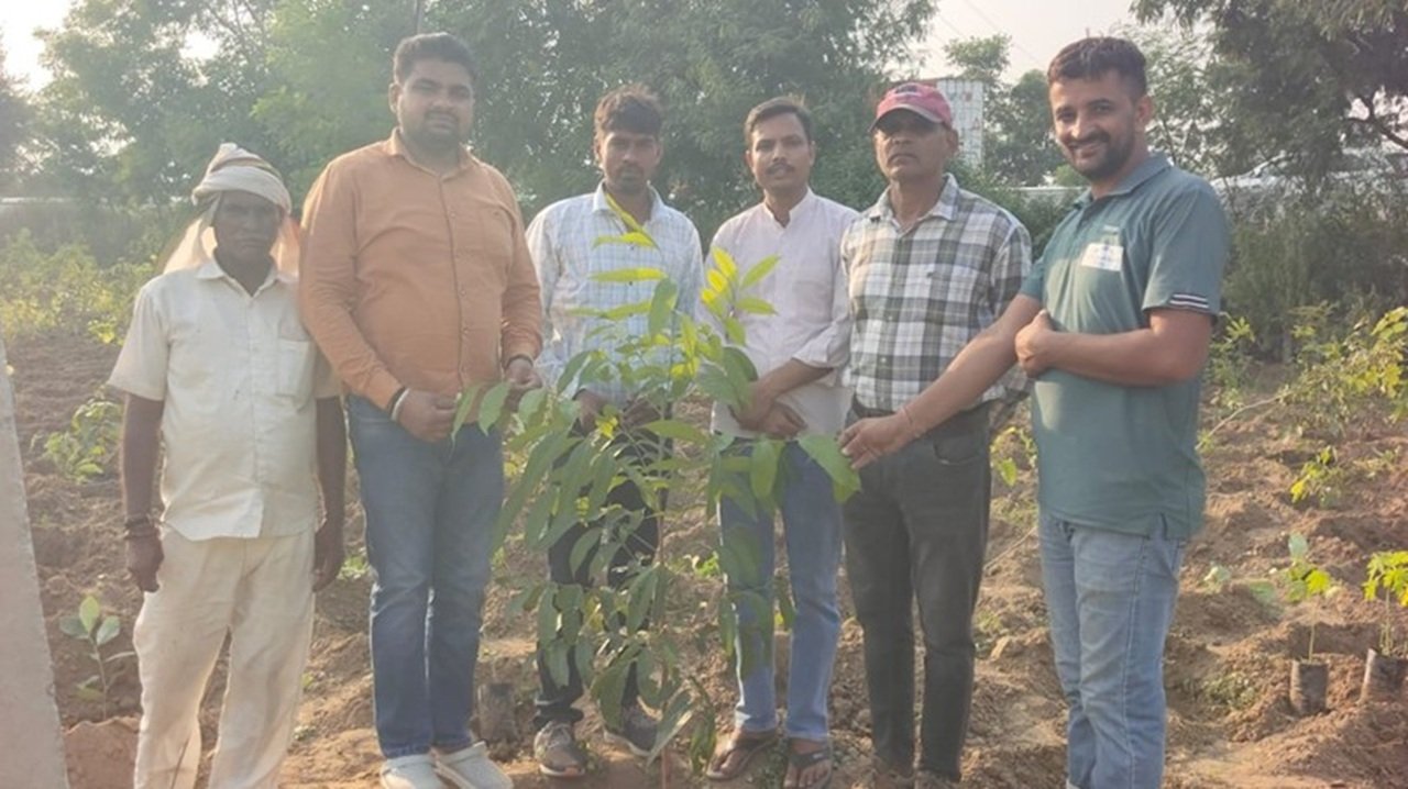 खलियावास में मियावाकी पद्धति से 72 प्रजातियों के लगाए पौधे