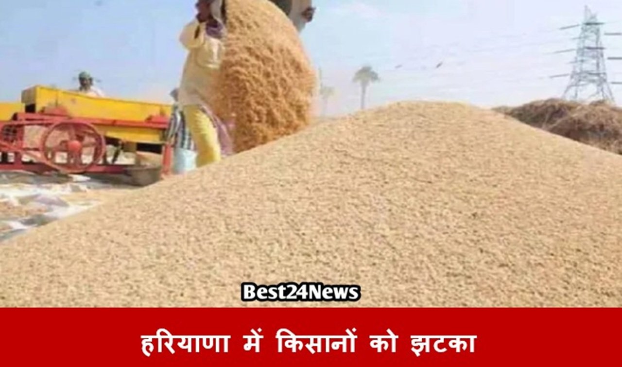 हरियाणा में कृषि विभाग ने रबी सीजन के लिए प्रमाणित गेहूं बीज के सरकारी बिक्री रेट जारी कर दिए हैं।