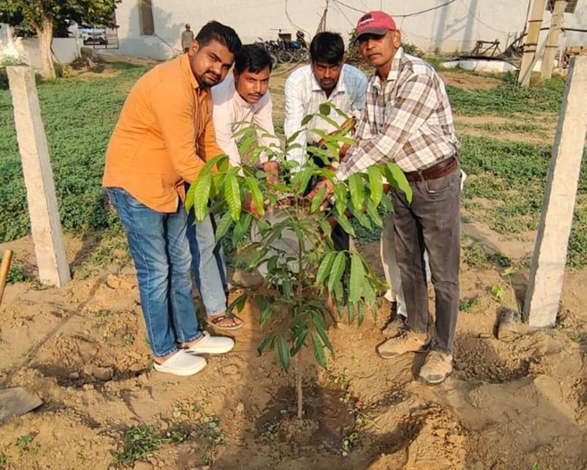    खलियावास में मियावाकी पद्धति से 72 प्रजातियों के लगाए पौधे