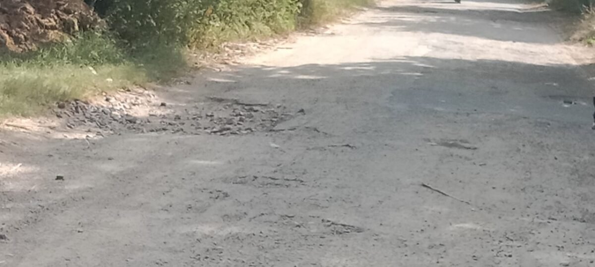 भटसाणा-अलावलपुर मार्ग की स्थिति इतनी खराब हो चुकी थी कि पूरी सड़क गड्डों में तब्दील हो गई
