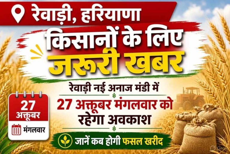 रेवाड़ी नई अनाज मंडी में 27 अक्टूबर को खरीद बंद